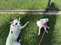 Woo Woo's Pet Adventure - Car repair in Marlborough, MA, Worcester - Rated 5.0/5