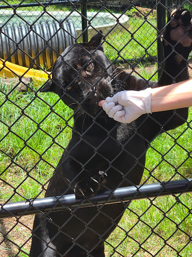 Tourist Attraction «Panther Ridge Conservation Center», reviews and photos, 14755 Palm Beach Point Blvd, Wellington, FL 33414, USA