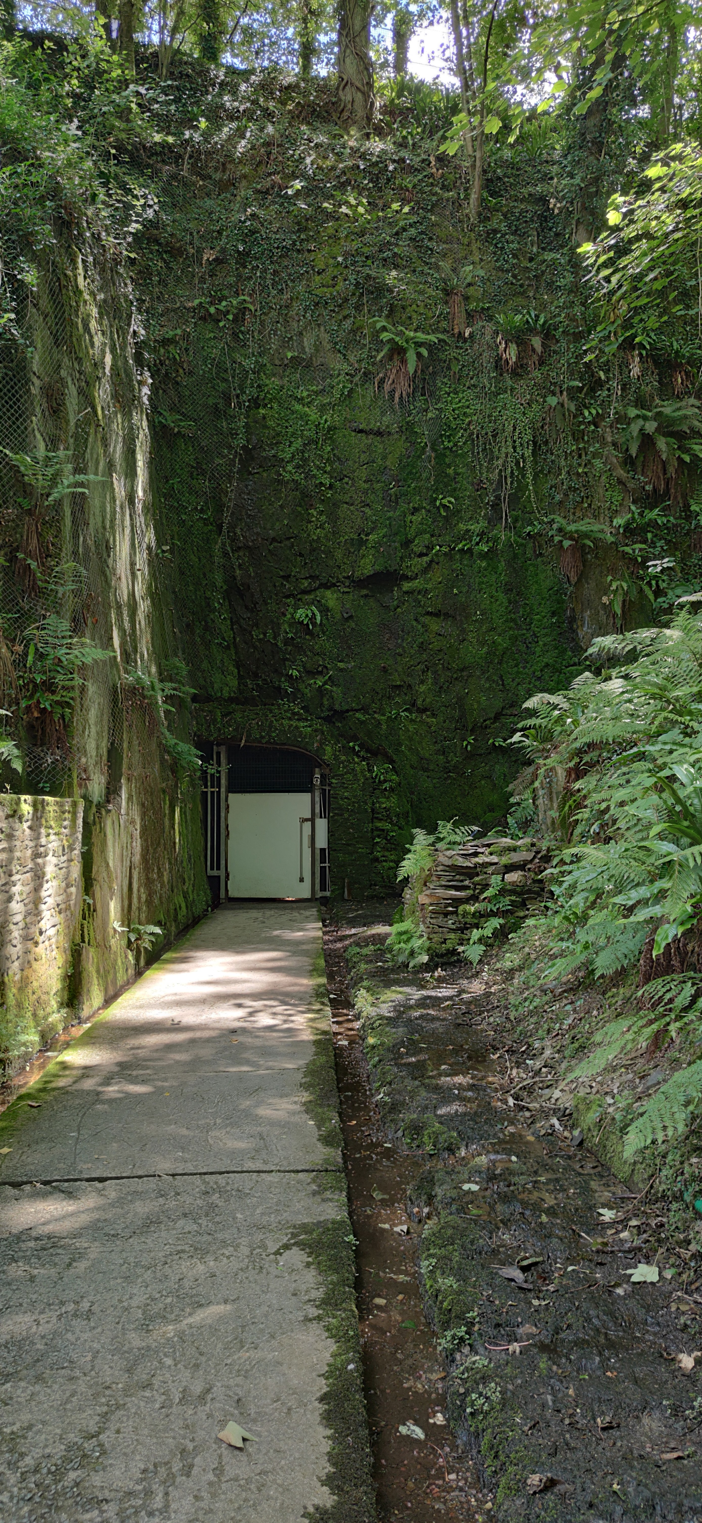 Photo n° 1 de l'avis de Patrice.� fait le 09/07/2020 à 13:25