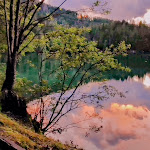 Photo n°2 de l'avis de Vincenzo.s fait le 25/02/2024 à 12:20 sur le  Capanna Edelweiss ristorante bar con camere à Tarvisio