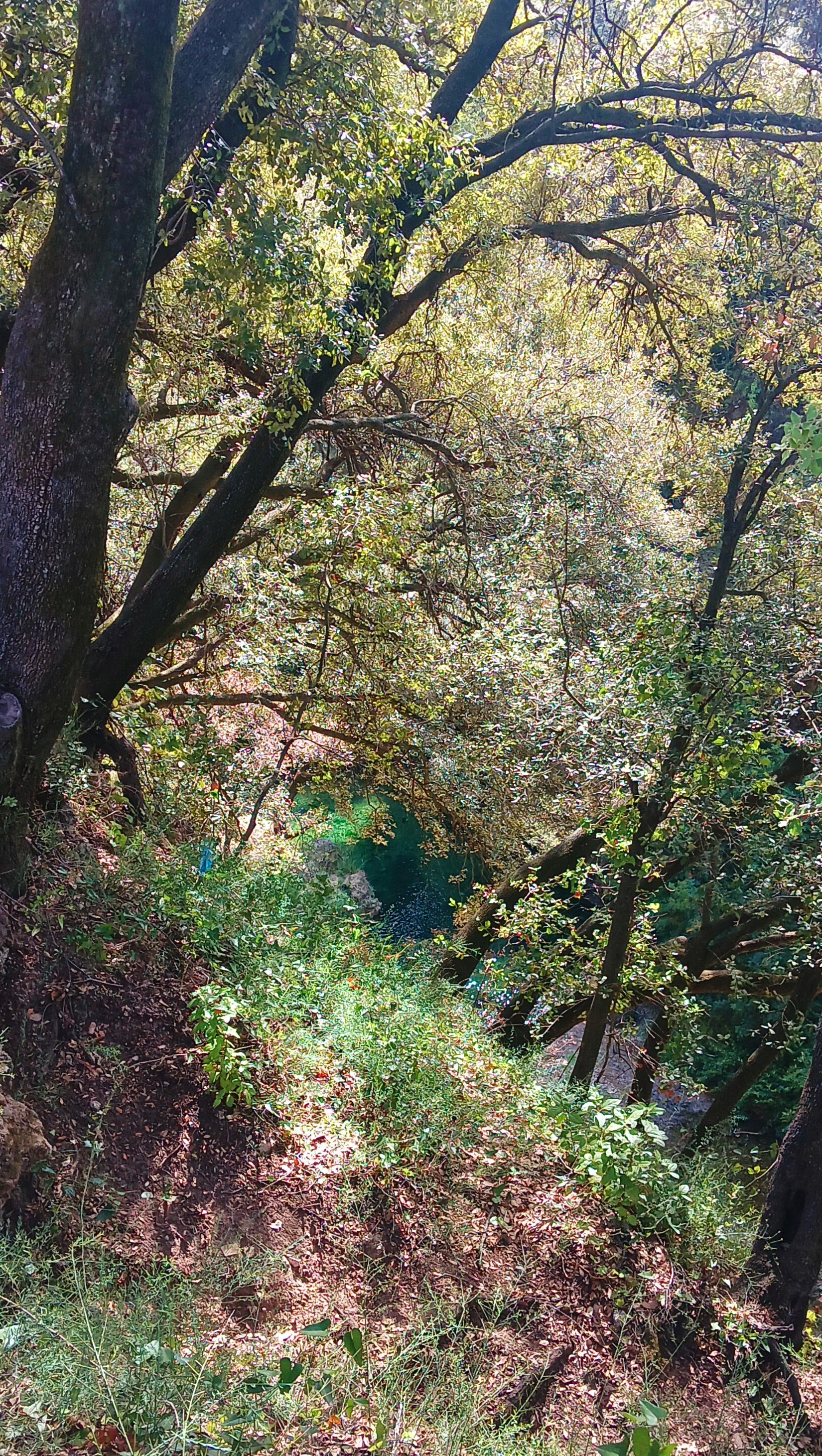 Photo n° 6 de l'avis de NathduVar. fait le 10/09/2022 à 14:51