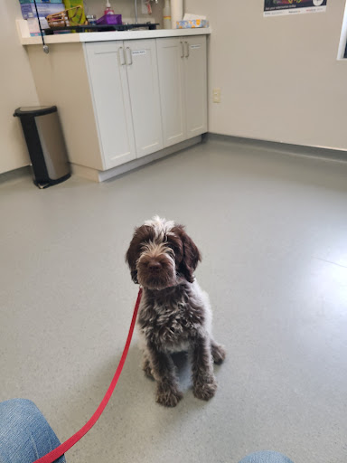 Graham Animal Hospital image