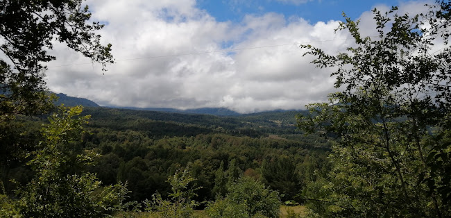 Opinii despre ESCUELA ALIWEN în Villarrica - Escuela
