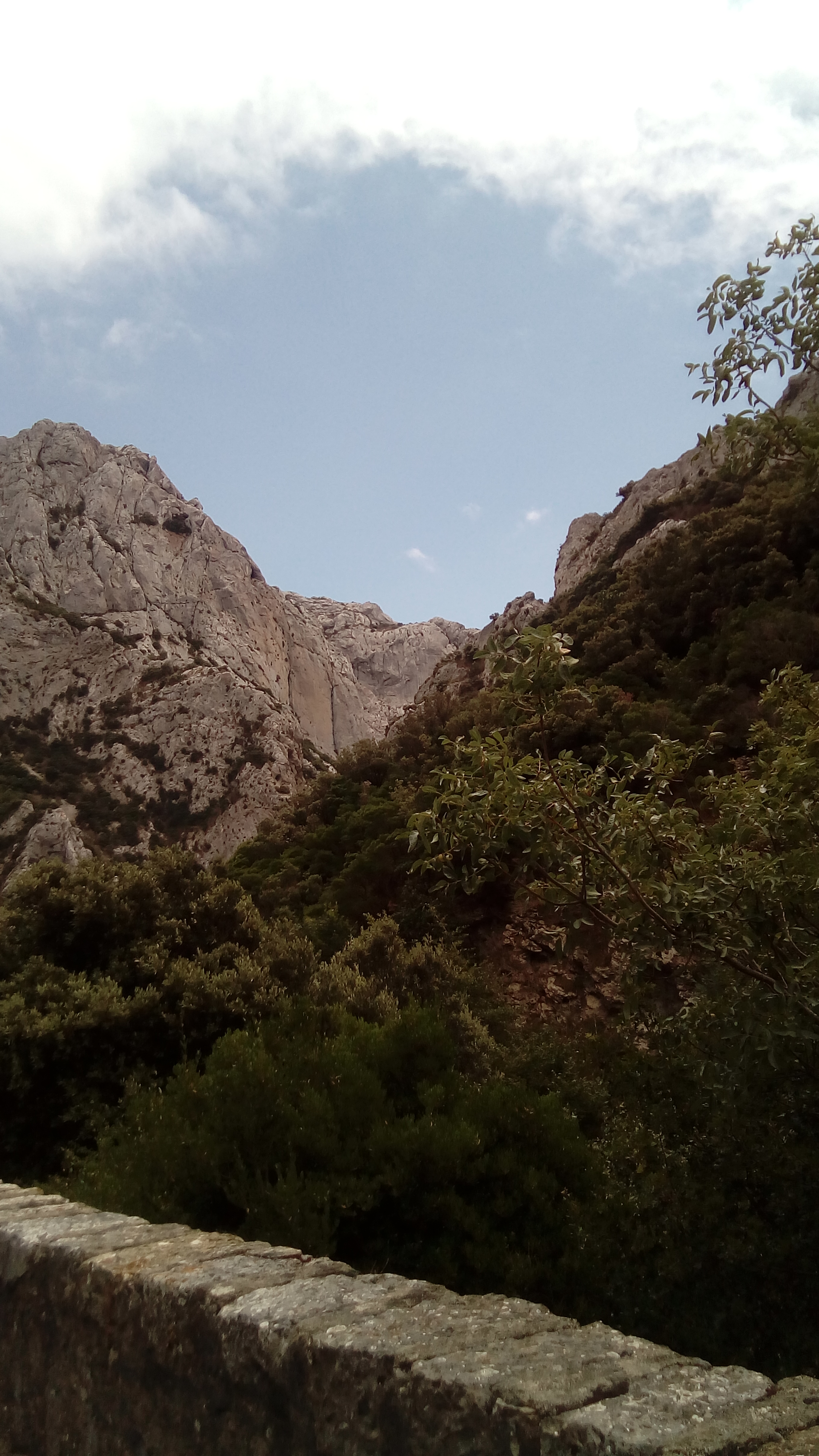 Photo n° 1 de l'avis de Patrice.o fait le 12/07/2020 à 11:24