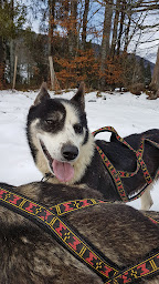 Photo n°7 de QimmiQ Aventure à Mijoux ()