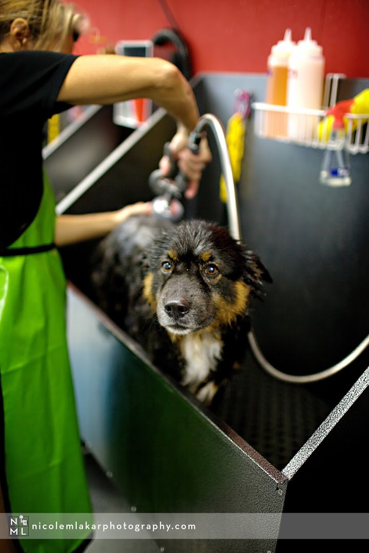 Dirty Dog- Grooming + Self Serve Dog Wash + Boarding + Daycare