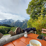 Photo n°1 de l'avis de nils.altsx77. fait le 21/07/2022 à 11:02 sur le  Berggasthof Gerstruben à Oberstdorf