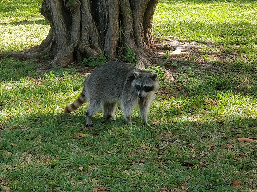 State Park «Bill Baggs Cape Florida State Park», reviews and photos, 1200 Crandon Blvd, Key Biscayne, FL 33149, USA