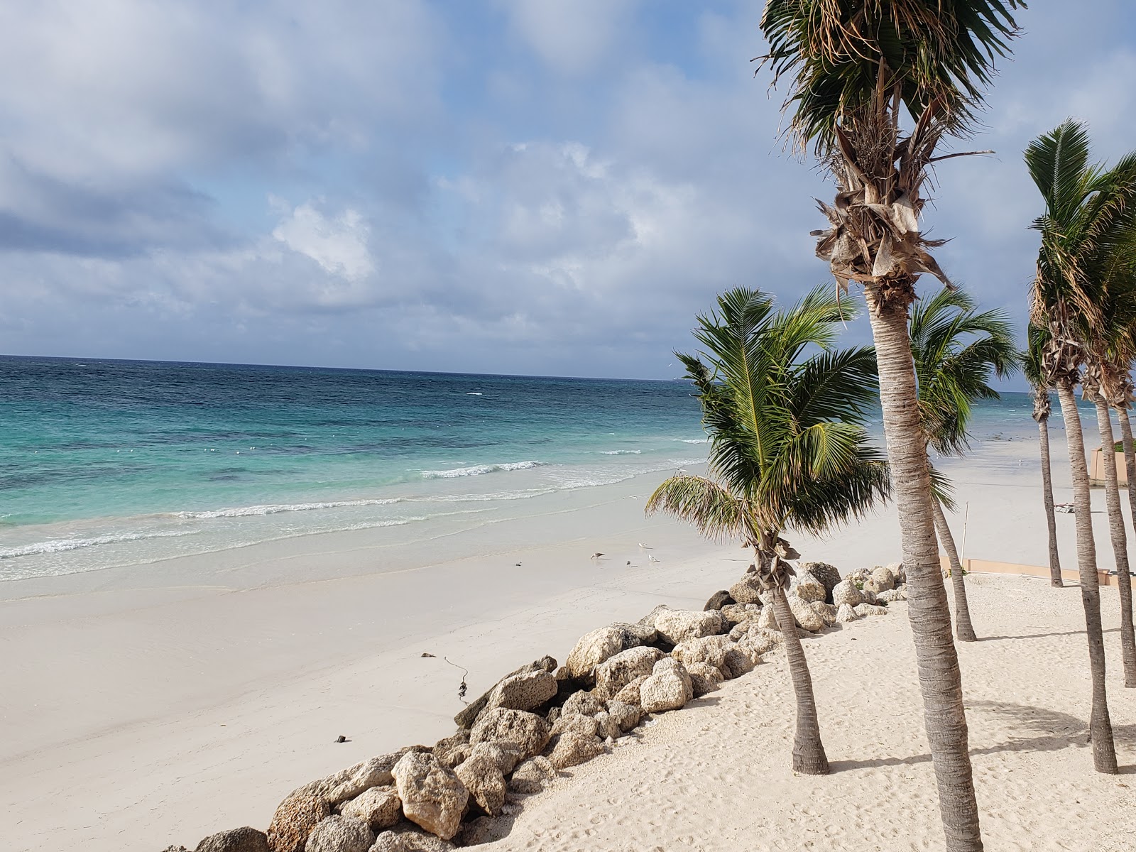 Silver Point beach photo #6