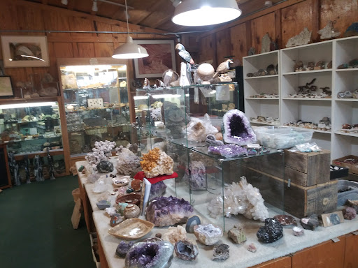 Discount Store «99 Cents Only Stores», reviews and photos, 44515 W Edison Rd, Maricopa, AZ 85138, USA