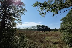 „Ochsenweide“ Nature Reserve image