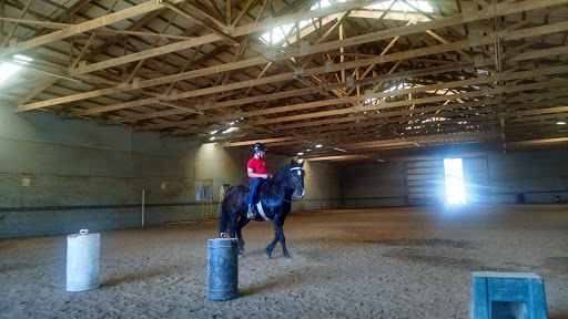 Horse rental service Evansville