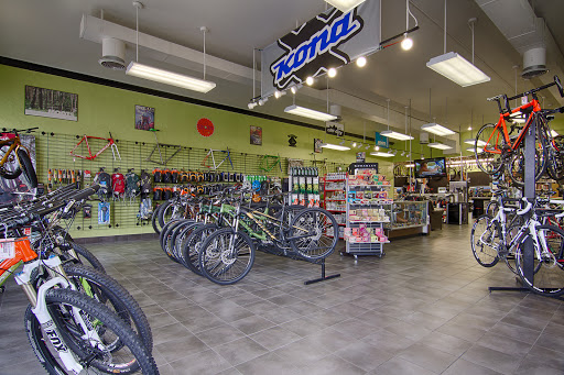 Bicycle Store «Alpha Bicycle Company», reviews and photos, 8006 E Arapahoe Rd, Centennial, CO 80112, USA