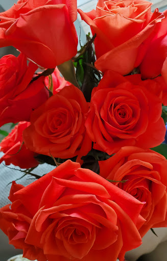 Supermarket «The Fresh Market», reviews and photos, 2504 Solomons Island Rd, Annapolis, MD 21401, USA