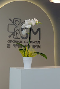 SM Chiropractic & Acupuncture - Photo 2 - Car repair in Fort Lee, NJ, Bronx