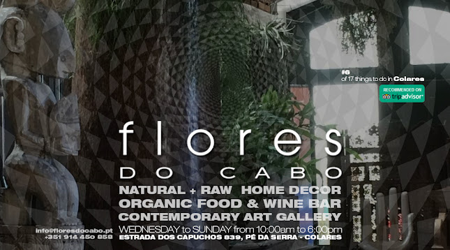 Comentarii opinii despre Flores do Cabo