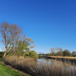 Photo n°8 de l'avis de ADY. fait le 03/05/2020 à 14:00 sur le  Zur Nordseite à Ritterhude