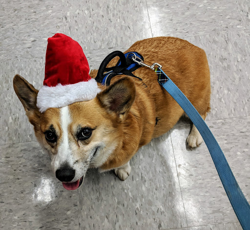 Pet Supply Store «Petco Animal Supplies», reviews and photos, 3387 Steelyard Dr, Cleveland, OH 44109, USA