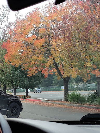 Safeway image