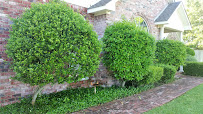 TEXAS LAWNMAN - Photo 6 - Car repair in Waco, TX, Waco