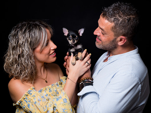 Amor