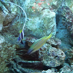 Photo n° 6 de l'avis de Cédric.E fait le 30/08/2022 à 07:51 pour Aquarium de Touraine à Lussault-sur-Loire