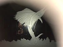 Total Mirror Inc - Photo 4 - Car repair in Hollywood, FL, Hollywood