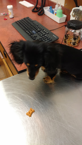 Pet Supply Store «PetSmart», reviews and photos, 534 US-441, Lady Lake, FL 32159, USA