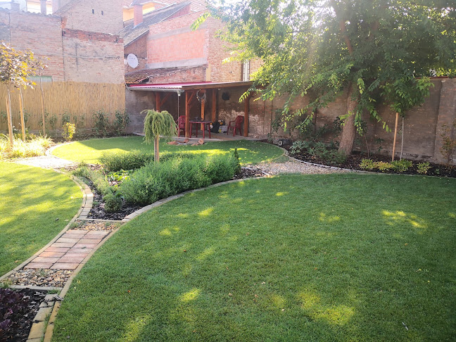 Makó, Teleki László u. 11, 6900