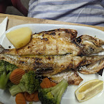 Photo n°5 de l'avis de Alex.h fait le 11/08/2023 à 22:29 sur le  Restaurante O Poente à Albufeira