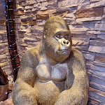 Photo n°5 de l'avis de Thomas.o fait le 18/06/2023 à 12:00 sur le  Pizzeria Ristorante Da Salvatore à Lignano Sabbiadoro