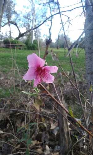 Five Mile Recreation Area - photo 52
