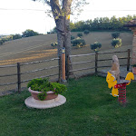 Photo n°3 de l'avis de Trinitrotoluene. fait le 18/10/2019 à 06:54 sur le  Agriturismo Le Piagge - vicino grotte di Frasassi, a Jesi nelle Marche à Castelplanio