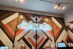 Blush Boutique & Spa image