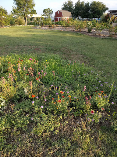 Tarrant County Master Gardeners Community Demonstration Garden image 10