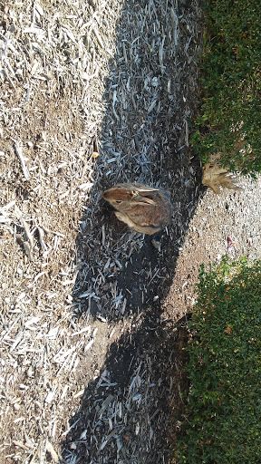 Museum «The Rock and Roll Hall of Fame and Museum», reviews and photos, 1100 E 9th St, Cleveland, OH 44114, USA