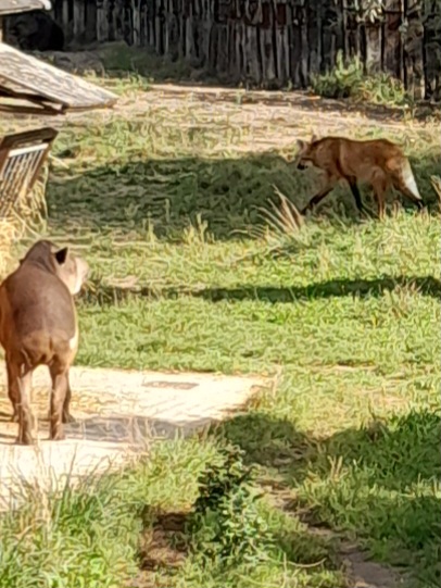 Photo n° 1 de l'avis de Jérôme.e fait le 23/09/2023 à 05:38