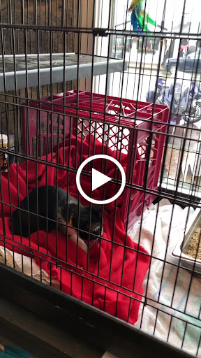 Pet Supply Store «The Fish & Bone, Portland ME», reviews and photos, 195 Commercial St, Portland, ME 04101, USA