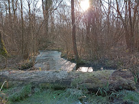 Photo n° 4 de l'avis de Nicolas Ruytenbeek fait le 13/03/2022