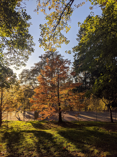 Park «Sellwood Park», reviews and photos, SE Miller St & SE 7th Ave, Portland, OR 97202, USA