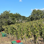 Photo n°2 de l'avis de Heine.r fait le 07/09/2023 à 08:40 sur le  Castello di Vicarello à Poggi del Sasso