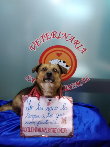 Opiniones de Veterinaria Sanidad Animal en Comas - Veterinario