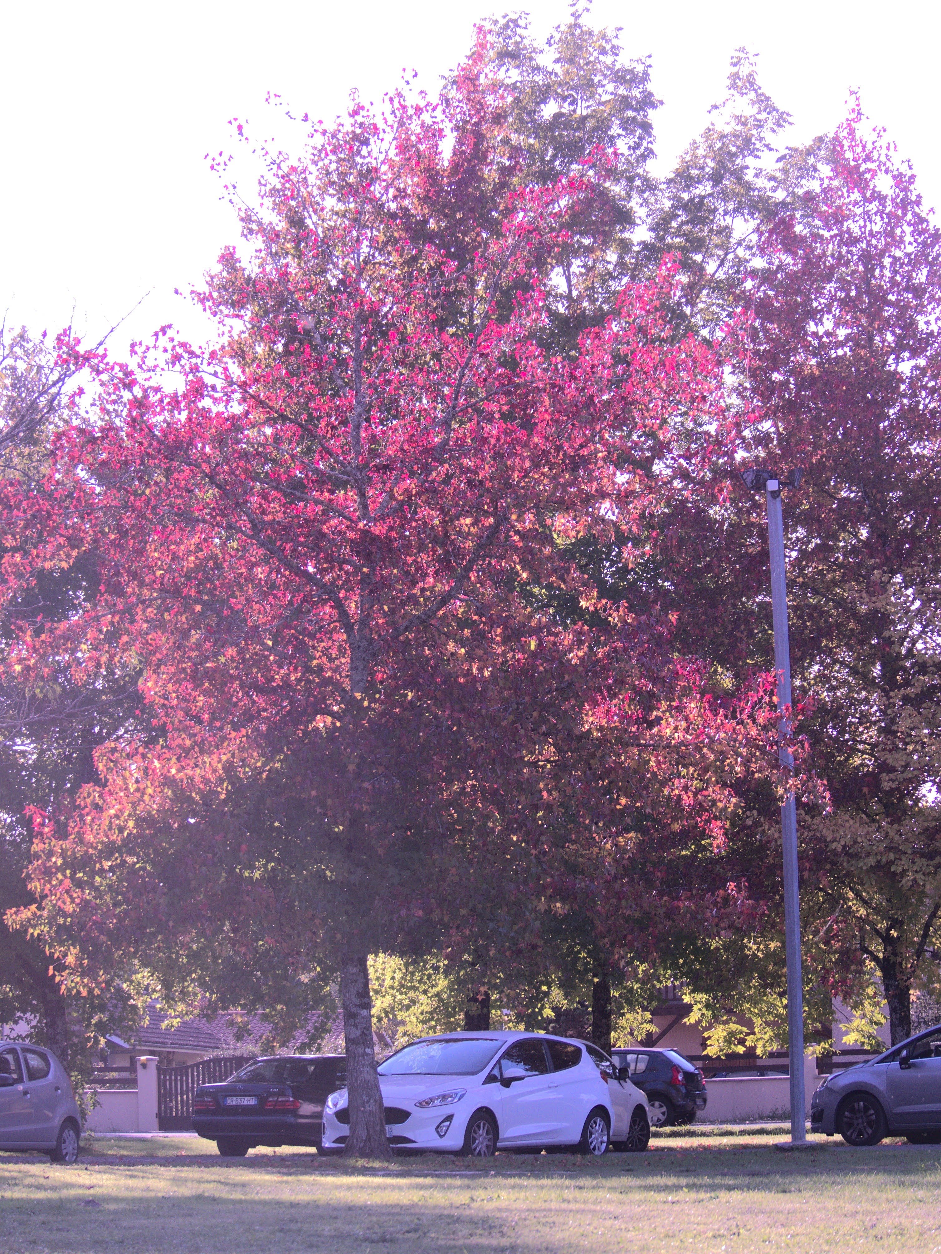 Photo n° 3 de l'avis de Faustin.o fait le 29/10/2020 à 09:41