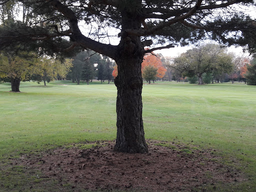 Public Golf Course «Green Oaks Golf Course», reviews and photos, 1775 E Clark Rd, Ypsilanti, MI 48198, USA