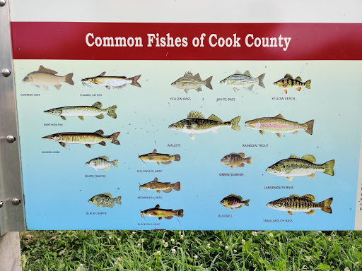 Nature Preserve «Bullfrog Lake», reviews and photos, 9600 Wolf Rd, Willow Springs, IL 60480, USA