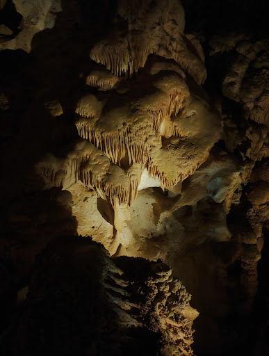 Tourist Information Center «Carlsbad Caverns National Park Headquarters», reviews and photos