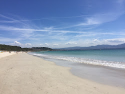 Praia de Barra'in fotoğrafı ve güzel manzarası