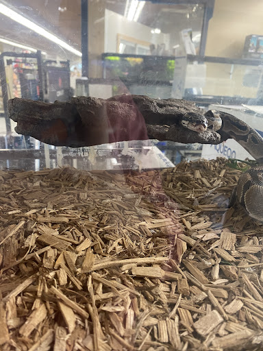 Pet Supply Store «Coastline Pet Supply», reviews and photos, 3530 Northgate Dr, Myrtle Beach, SC 29588, USA