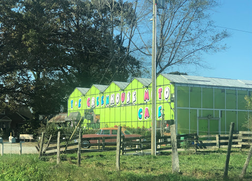 Bar «Greenhouse Moto Cafe», reviews and photos, 4021 Haywood Rd, Mills River, NC 28759, USA