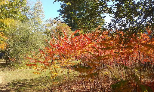 Community Center «Wason Pond Community Center, Chester NH», reviews and photos, 603 Raymond Rd, Chester, NH 03036, USA